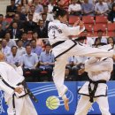 선 태권도 이미지