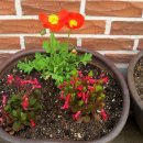 서창어린이집 이미지