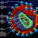 바이러스 이미지