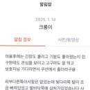몽시시 이미지