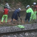 전주동산인력