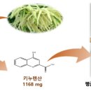 엔케이메디 오마이뉴스