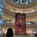 유니버설발레단 문훈숙 단장의 해설이 있는 발레 이미지