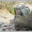 구례중앙초등학교 이미지