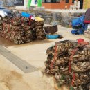 바담채 민박 이미지