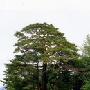 로타리여관 이미지