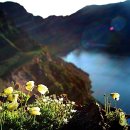 아리랑프라자 이미지