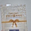임밍아웃 이벤트 후기 | 부동산 계약서로 시부모님께 깜짝 발표 성공