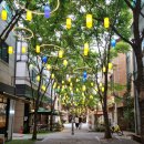 꼬씨와 펫살롱 이미지