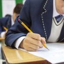 가락고등학교(내) 이미지