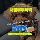 송탄 서정리 동물약국 | 평택 서정리역 동물약국 서정부부약국, 강아지약 살때 복약지도까지 친절해요!