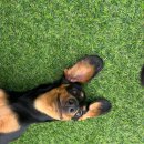 루이야 놀고 자고 GO 이미지