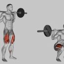 1호피티 이미지