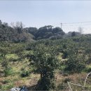 신례보건진료소 이미지