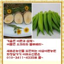 아삽야콘농원 이미지