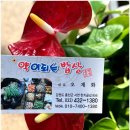남춘천IC 주변맛집 약이되는밥상 홍천팔봉산맛집에서 즐긴 특 한방 북어해장국과 감자떡 후기!