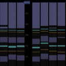 (주)바다출동 이미지
