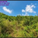 집현면1 이미지