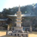 지천생태공원 | 홍매화와 상주 가볼만한 곳(도림사,왕산역사공원,경상감영공원,충의사,전사벌왕릉,상주박물관,경천대...