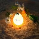 725 이미지