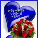 이미지톡
