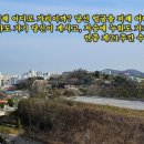 성녀모니카