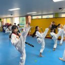 한체대고려태권도 이미지