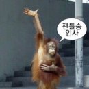 해콩 손두부 밥상 이미지