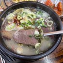 어멍보쌈 | 세종 제주어멍해장국 점심 식사 내돈내산 후기