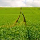 우리 카 타이어 이미지