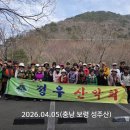 성주산 Daum카페