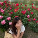이가자헤어비스 숙대입구역점(LEEKAJA) | (용산미용실)이가자헤어비스 숙대입구역점에서 톤다운염색 후기