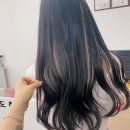 도도헤어포인트
