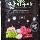 유비링크