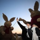 심심토끼 이미지