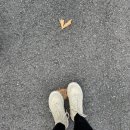 시루봉산성 | 등산하기 좋은 대전 보문산⛰️ (대전 아쿠아리움-보문산성-시루봉) 등산 코스 후기