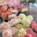 손으로 꾸미는 세상 이미지