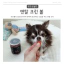 덴탈더드림 네이버블로그