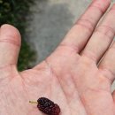 안천보건지소 | 구량천 따라 고개너머동향길 | 진안고원길 12코스 마무리 여정