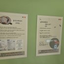 숲속모래성키즈카페노원 이미지