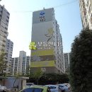 의료원로 Daum카페