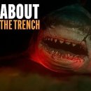Meg 2 The Trench 이미지