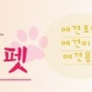꾸러기 펫 이미지