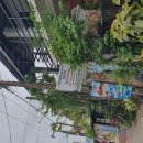 인기척 게스트하우스 이미지