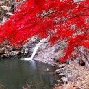 여명안경 이미지