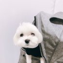 빵야베이킹클래스 이미지