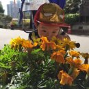 재준이집 이미지