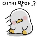 아마존 한증막 이미지