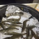 잡수새우 | 잡수새우] 내돈내먹 솔직후기, 아산|천안 근처 (포장)새우/대하구이 맛집, 새우직판장, 지하암반수로...