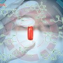 동진체육도장 이미지